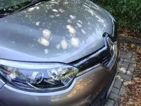Usata Renault Captur 90 CV (66 kW) 2013 SUV