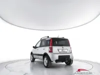 Usata Fiat Panda 4x4 Cross 69 CV (50 kW) 2007 Grigio Utilitaria