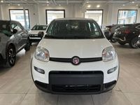 usata Fiat Panda 1.0 1.0 FireFly S&S Hybrid