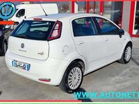 Usata Fiat Punto Easy 75 CV (55 kW) 2014 Bianco Berlina