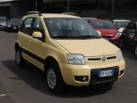 Usata Fiat Panda 4x4 Climbing 69 CV (50 kW) 2012 Giallo Utilitaria