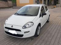 Usata Fiat Punto 95 CV (69 kW) 2017 Utilitaria