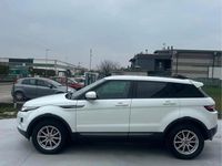 Usata Land Rover Range Rover evoque Pure 150 CV (110 kW) 2013 Bianco SUV