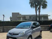 Usata Fiat Panda Easy 69 CV (50 kW) 2019 Grigio Utilitaria