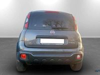 Usata Fiat Panda Cross Cross 69 CV (50 kW) 2023 Grigio Utilitaria