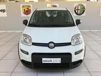 usata Fiat Panda 1.0 FireFly S&S Hybrid - KM0 FCA I...