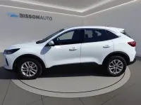 Usata Ford Kuga Titanium 150 CV (110 kW) 2025 Bianco SUV