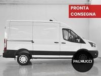 Usata Ford Transit Trend 131 CV (96 kW) 2023 Furgone
