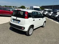 Usata Fiat Panda Easy 70 CV (51 kW) 2019 Bianco Utilitaria