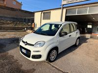 Usata Fiat Panda Easy 70 CV (51 kW) 2021 Bianco Utilitaria