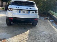 Usata Land Rover Range Rover evoque 190 CV (139 kW) 2012 Bianco SUV