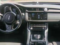 Usata Jaguar XF Business Edition 163 CV (119 kW) 2016 Bianco Berlina