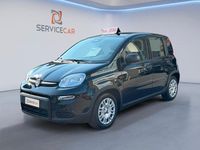 Usata Fiat Panda S 69 CV (50 kW) 2024 Nero Utilitaria