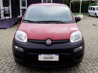 usata Fiat Panda 1.3 MJT S&S Pop Van 2 posti Euro 6B