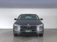 Usata Skoda Octavia Selection 150 CV (110 kW) 2025 Nero tulipano perlato Station wagon