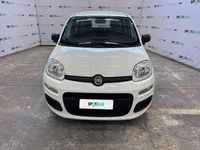 Usata Fiat Panda Easy 70 CV (51 kW) 2020 Bianco Utilitaria