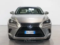Usata Lexus NX300h Luxury Line 199 CV (146 kW) 2018 Gray SUV
