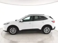 Usata Ford Kuga Business Edition 120 CV (88 kW) 2022 Bianco ghiaccio SUV