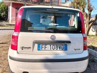 Usata Fiat Panda 60 CV (44 kW) 2008 Bianco Utilitaria