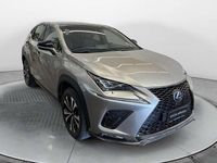Usata Lexus NX300h Sport Line 197 CV (144 kW) 2017 Grigio SUV