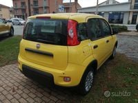 Usata Fiat Panda S 69 CV (50 kW) 2024 Giallo Utilitaria