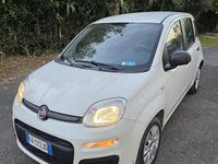 Usata Fiat Panda 2017 Bianco Utilitaria