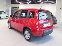 Usata Fiat Panda S 69 CV (50 kW) 2024 Rosso Utilitaria