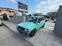 Usata Fiat Panda 54 CV (39 kW) 2003 Verde Utilitaria