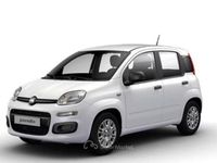 Nuova Fiat Panda Icon 69 CV (50 kW) 2025 Bianco Berlina