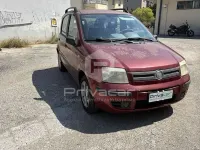 Usata Fiat Panda Dynamic 69 CV (50 kW) 2006 Rosso Utilitaria