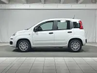 Nuova Fiat Panda S 69 CV (50 kW) 2025 Bianco Utilitaria
