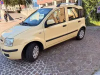 Usata Fiat Panda Active 60 CV (44 kW) 2010 Giallo Utilitaria
