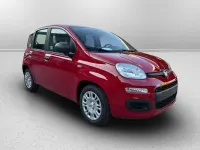 Nuova Fiat Panda 70 CV (51 kW) 2025 Rosso passione (pastello) Utilitaria