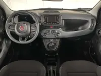 Usata Fiat Panda S 69 CV (50 kW) 2025 Bianco gelato Utilitaria