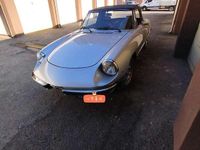Usata Alfa Romeo Spider Veloce 104 CV (76 kW) 1981 Grigio Cabrio