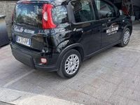 Usata Fiat Panda Icon 69 CV (50 kW) 2025 Utilitaria