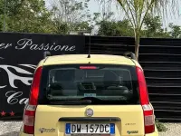 Usata Fiat Panda Active 60 CV (44 kW) 2010 Giallo Utilitaria