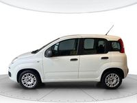 Usata Fiat Panda Easy 80 CV (58 kW) 2018 Bianco gelato Utilitaria