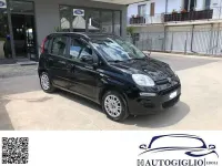 Usata Fiat Panda 69 CV (50 kW) 2013 Nero Utilitaria