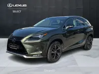 Usata Lexus NX300h 197 CV (144 kW) 2021 Verde SUV