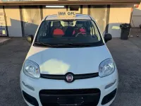 Usata Fiat Panda Easy 69 CV (50 kW) 2019 Bianco Utilitaria