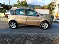Usata Fiat Panda 4x4 Cross 69 CV (50 kW) 2009 Utilitaria