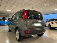 usata Fiat Panda Panda1.2cc 69CV E6d LOUNGE 5 POSTI