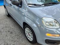 Usata Fiat Panda 60 CV (44 kW) 2021 Grigio Utilitaria