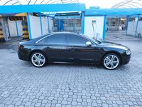 usata Audi S8 plus Quattro Tiptronic