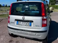 Usata Fiat Panda Dynamic 60 CV (44 kW) 2009 Grigio Utilitaria