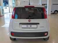 Nuova Fiat Panda Icon 69 CV (50 kW) 2025 Bianco pastello Utilitaria
