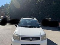 Usata Fiat Panda 4x4 69 CV (50 kW) 2007 Bianco Utilitaria