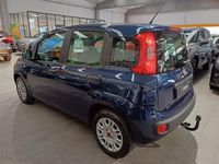 usata Fiat Panda Panda1.2 69cv Easy - Metallizzata Benzina - Manuale