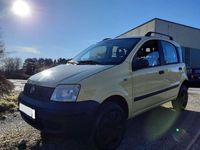 Usata Fiat Panda 4x4 60 CV (44 kW) 2009 Giallo Utilitaria